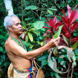 Multi-Donor Climate Resilience Fund - Kiwa Initiative