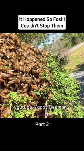 youtube/Yappy Beeman Part 2