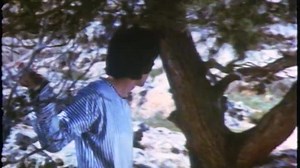 Я люблю тебя, Роза / Ani Ohev Otach Rosa (1972) (драма)
