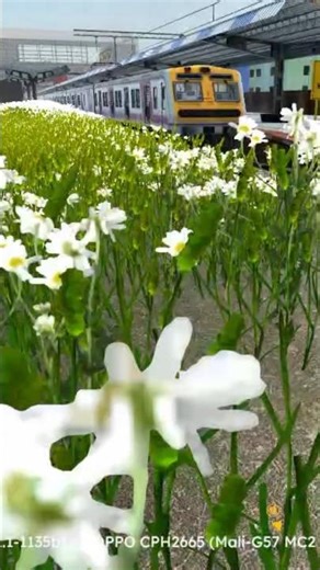 RG TRAIN TECH DEMO INDIAN TRAIN SIMULATOR #train #railway