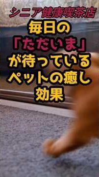 #静かな部屋に響く足音ペットと健康に暮らす #シニア人生#幸せホルモンの贈り物～ペットがもたらす心身の変化～ #シニア健康