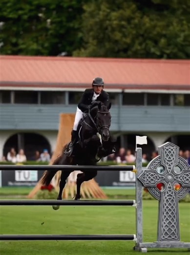 Show Jumping Horses: Grace and Skill in Action