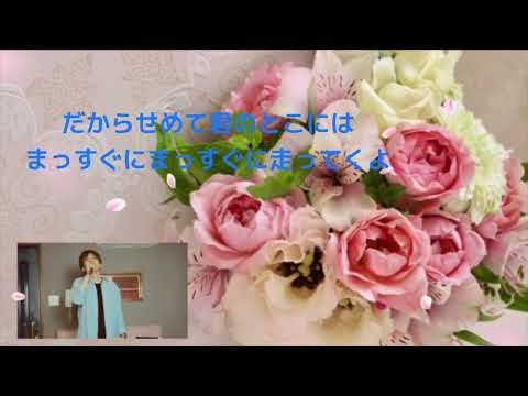 back number / 花束 【歌詞付き】back number初期の名曲💐低音で歌ってみた