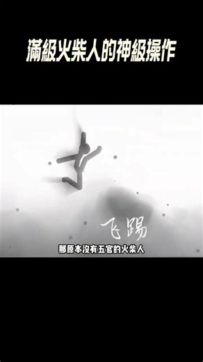 滿級火柴人的神級操作