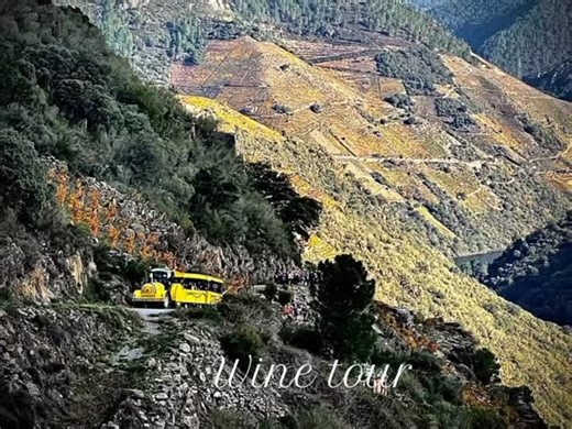 GRUPO ABA SACRA on Reels