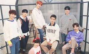 Song Review: TST – Love Story