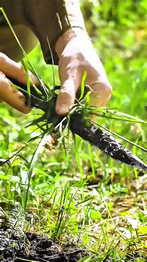 Essential Outdoor Survival Skills for Adventurers