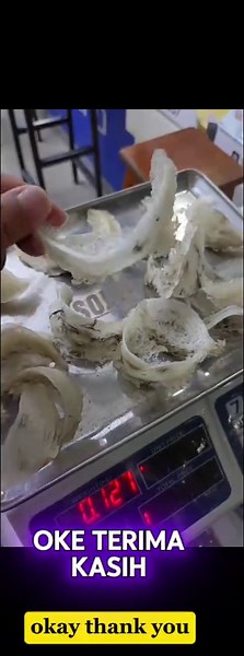 #sarangwalet #terimasarangwalet #SambasArea #Kalbar Hp ;0821-4833-1198