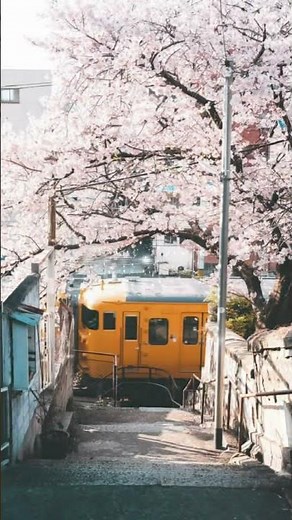 春の歌 #歌詞動画 #歌詞付き #スピッツ