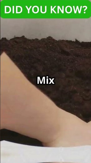 How to Build a Raised Garden Bed in 1 Hour | A fast DIY for better soil, drainage, and yield.