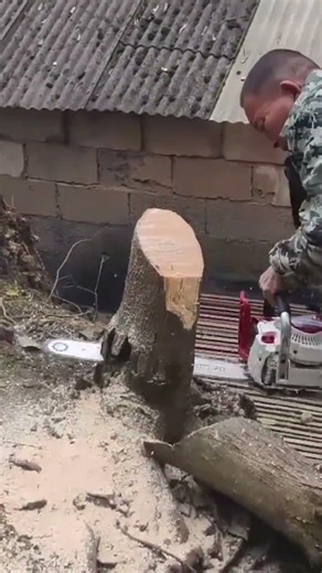 Cutting a large tree trunk using a powerful chainsaw to clear the backyard area safely