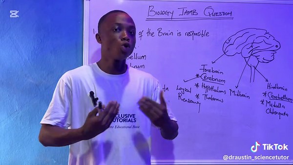 Understanding the Parts of the Brain for Biology Exams