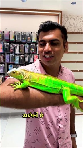 Green Iguana on My Hand 🦎💚 | Fun Facts & Info You Didn’t Know #rajkot #vishvid