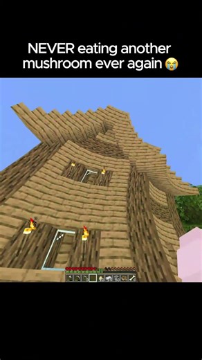 I think I've finally lost my mind..