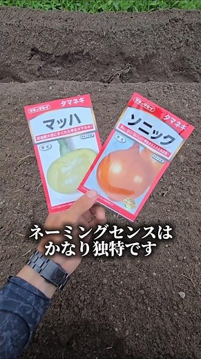 玉ねぎ種まき #農家#農業#有機栽培#彩蔵ファーム#百姓日記