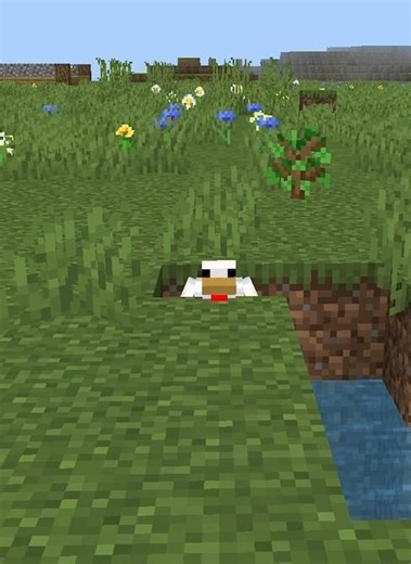 Minecraft chicken loop 🐔 #gaming #minecraft #loop #chicken