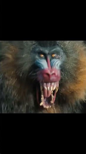 Jumanji Welcome to the Jungle: Alex Meet the Team #jumanji2 #movie #film
