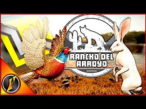 Return to Rancho Produces an Incredible Rare & a Diamond!