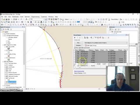 ArcGIS Parcel Fabric Editing (Convert multi-lines to Curves)