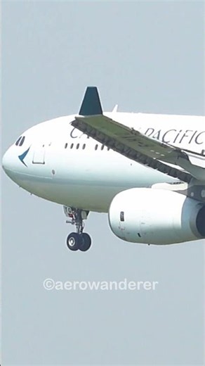 CATHAY PACIFIC A330-300 landing at Ho Chi Minh City Airport #shorts #aviation #a330 #landing