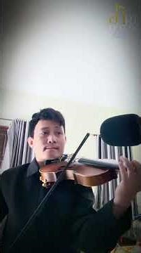 Beautiful classic violin song