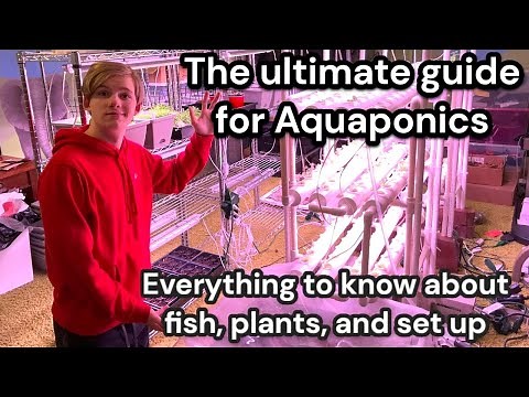 The Ultimate Aquaponics Plant Guide