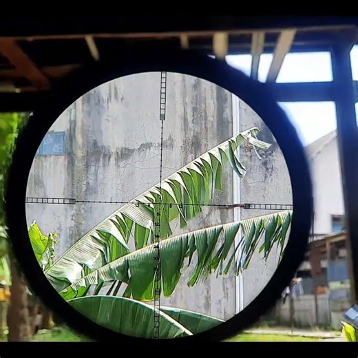 Telescope Terbaru dan termurah dari Discovery, Discovery MS 3 9x40IR #hunting #affiliate #telescope