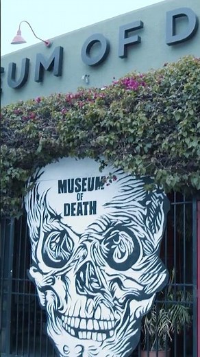 Inside the Museum of Death – The Darkest Attraction in Los Angeles 😱🔪