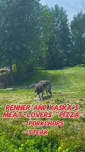 34K views · 431 reactions | Even the animals at the Detroit Zoo are getting into the Detroit-Style Pizza Day spirit! | Detroit Zoo | Facebook