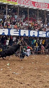 10K views · 93 reactions | Lo hicieron volar de la carreta  | Jamer Tordecilla en las Mangas | Facebook