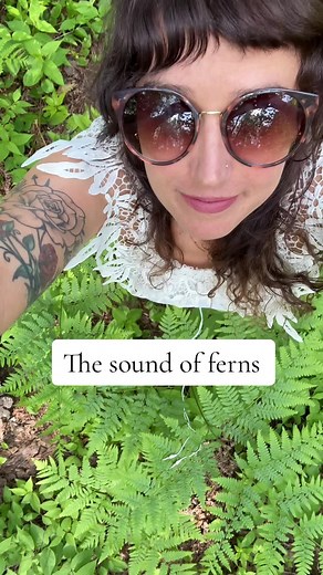 Discovering the Soothing Effects of Ferns