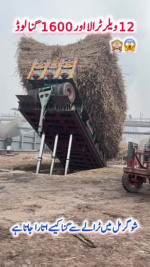 Sugarcane Trailer Unloading Process Explained