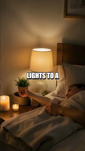 The Night Garden Within a Quiet Room