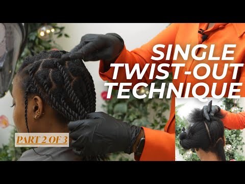 How to Single-Twist Type 4 Hair | Sectioning + Brick Pattern Technique (Part 2)