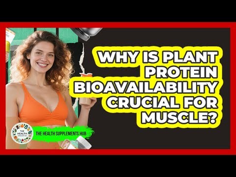 Why Is Plant Protein Bioavailability Crucial For Muscle? - The Health Supplement Hub