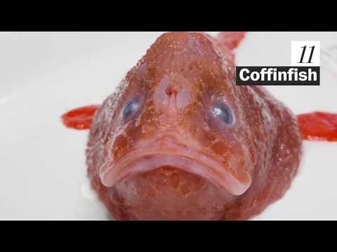20 nightmarish creatures living in the ocean's abyss