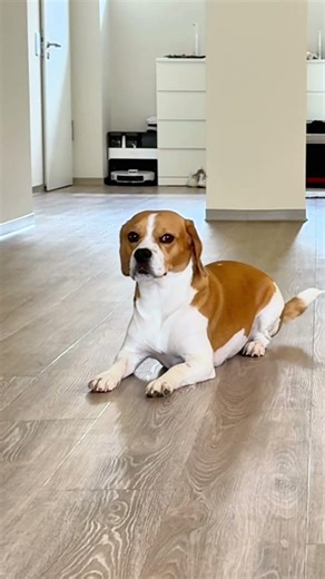 Ich muss zum Briefkasten