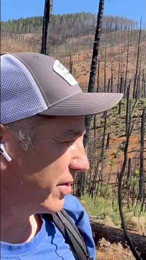 Devastation from tannerite shooting fire in 2023 on the Illinois River trail. Human caused.