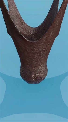 Skin Cloth Simulation in blender