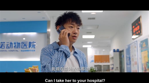 🍨The scheming man transforms into a black cat to kill the male protagonist 🍨Drama：喵，请许愿 Make A Wish #chinesedrama #hotdrama #喵请许愿 #MakeAWish | 热剧联播