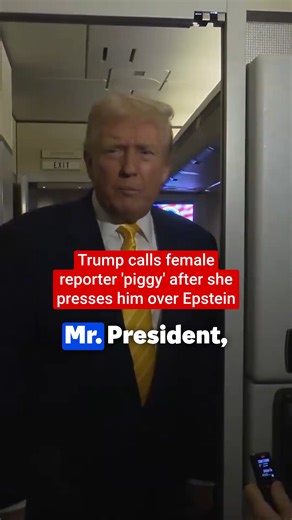 Donald Trump told a female reporter to be “Quiet, Piggy” while she asked him a question about the Epstein files onboard Air Force One | The Independent