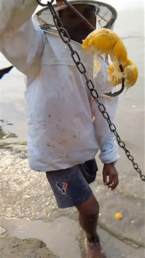 Whale fishing with orange bait in the river #Short video