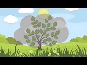 Trees Save The World