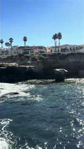 Children's Pool La Jolla Seawall Protected Beach in San Diego #lajolla #lajollashores #sandiego