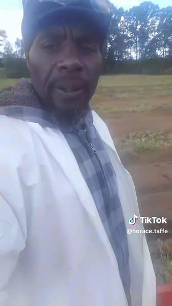 Horace Taffe (@horace.taffe)’s videos with original sound - trendybosss1