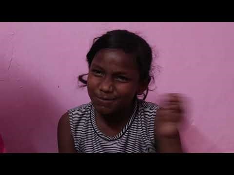 Activity 6 A - Animals Around Us: Identify and Describe Common Animals