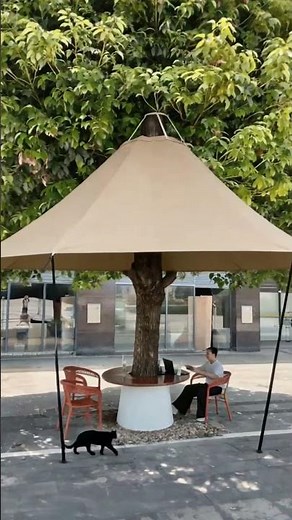 Hanging Tree Canopy Setup 🌳