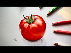 realistic drawing of tomato with color pencil \\ how to draw tomato \\ drawing with polychromos pencil