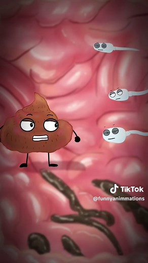 Funny Animation: Lost in the Digestive System