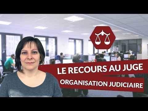 Le recours au juge : les grands principes de l'organisation judiciaire - Droit - digiSchool
